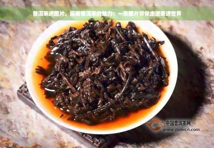 普洱茶道图片，探索普洱茶的魅力：一张图片带你走进茶道世界