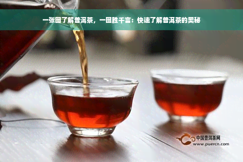 一张图了解普洱茶，一图胜千言：快速了解普洱茶的奥秘