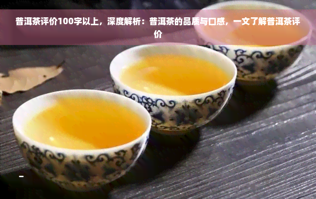 普洱茶评价100字以上，深度解析：普洱茶的品质与口感，一文了解普洱茶评价