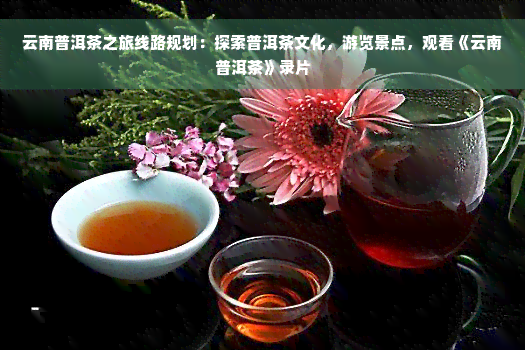 云南普洱茶之旅线路规划：探索普洱茶文化，游览景点，观看《云南普洱茶》录片