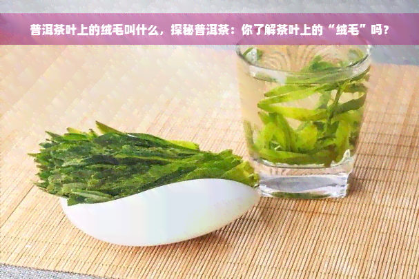 普洱茶叶上的绒毛叫什么，探秘普洱茶：你了解茶叶上的“绒毛”吗？