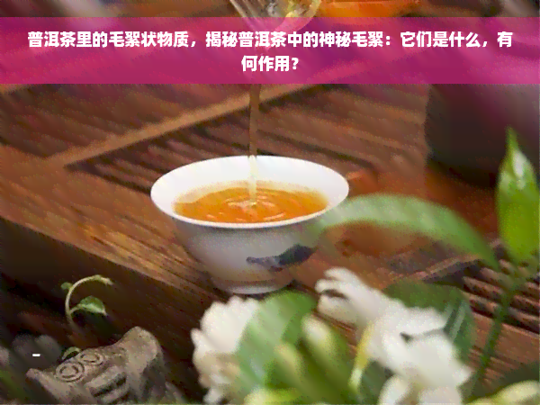 普洱茶里的毛絮状物质，揭秘普洱茶中的神秘毛絮：它们是什么，有何作用？