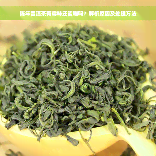 陈年普洱茶有霉味还能喝吗？解析原因及处理方法