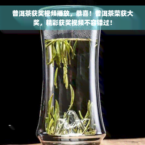 普洱茶获奖视频播放，恭喜！普洱茶荣获大奖，精彩获奖视频不容错过！