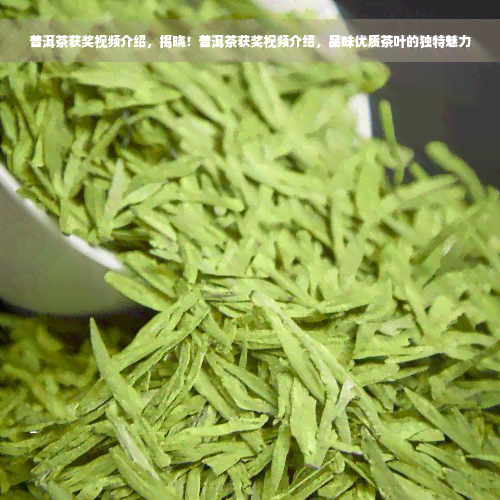 普洱茶获奖视频介绍，揭晓！普洱茶获奖视频介绍，品味优质茶叶的独特魅力