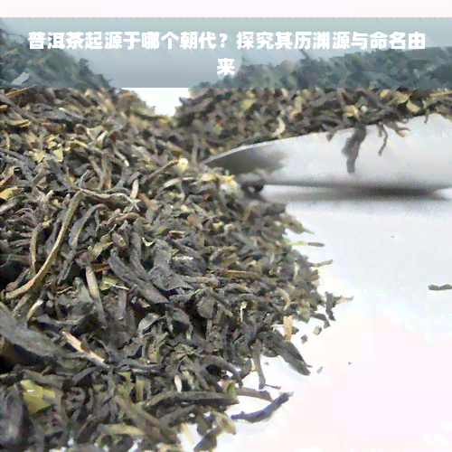 普洱茶起源于哪个朝代？探究其历渊源与命名由来