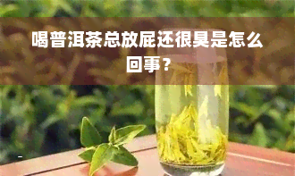 喝普洱茶总放屁还很臭是怎么回事？