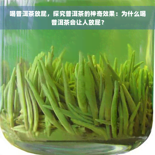 喝普洱茶放屁，探究普洱茶的神奇效果：为什么喝普洱茶会让人放屁？