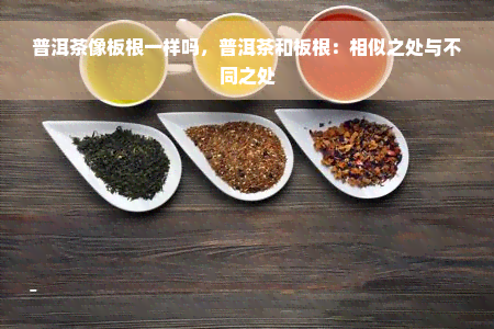 普洱茶像板根一样吗，普洱茶和板根：相似之处与不同之处