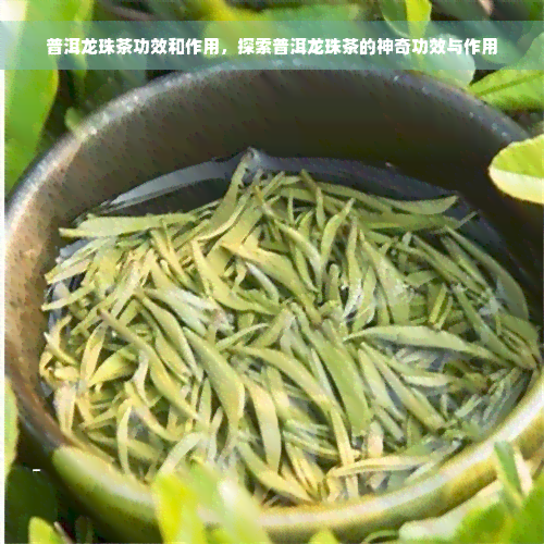 普洱龙珠茶功效和作用，探索普洱龙珠茶的神奇功效与作用