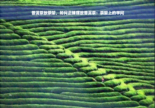 普洱茶放茶架，如何正确摆放普洱茶：茶架上的学问