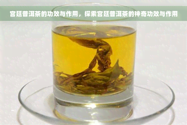 宫廷普洱茶的功效与作用，探索宫廷普洱茶的神奇功效与作用