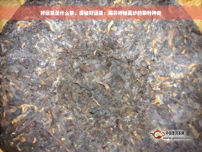 好运茶是什么茶，探秘好运茶：揭开神秘面纱的茶叶种类