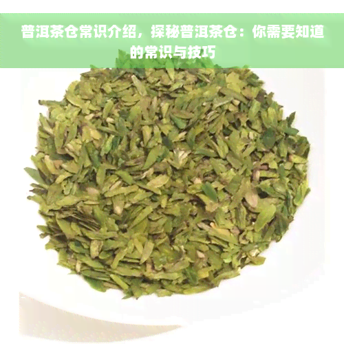 普洱茶仓常识介绍，探秘普洱茶仓：你需要知道的常识与技巧