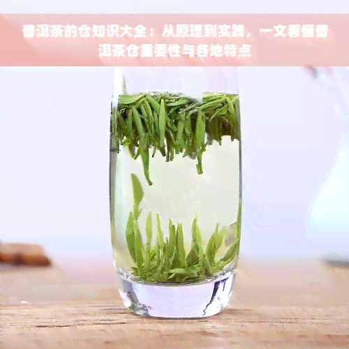 普洱茶的仓知识大全：从原理到实践，一文看懂普洱茶仓重要性与各地特点