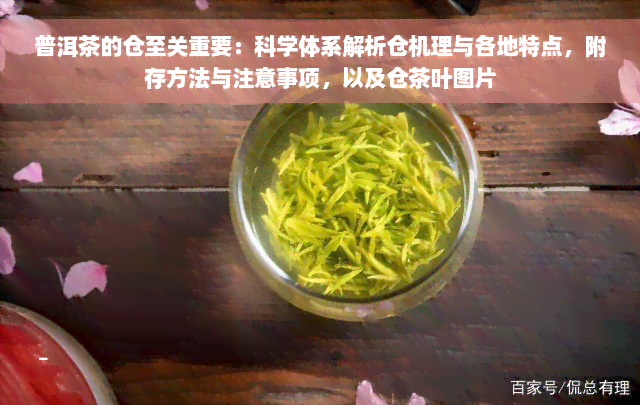 普洱茶的仓至关重要：科学体系解析仓机理与各地特点，附存方法与注意事项，以及仓茶叶图片