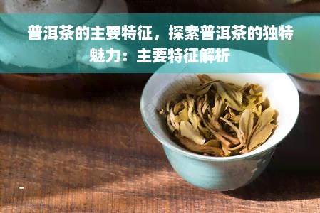 普洱茶的主要特征，探索普洱茶的独特魅力：主要特征解析