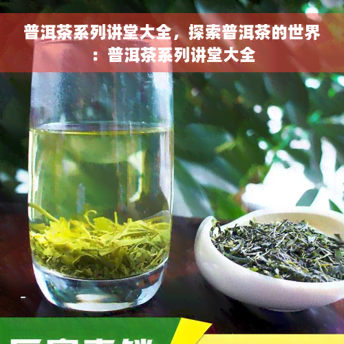 普洱茶系列讲堂大全，探索普洱茶的世界：普洱茶系列讲堂大全