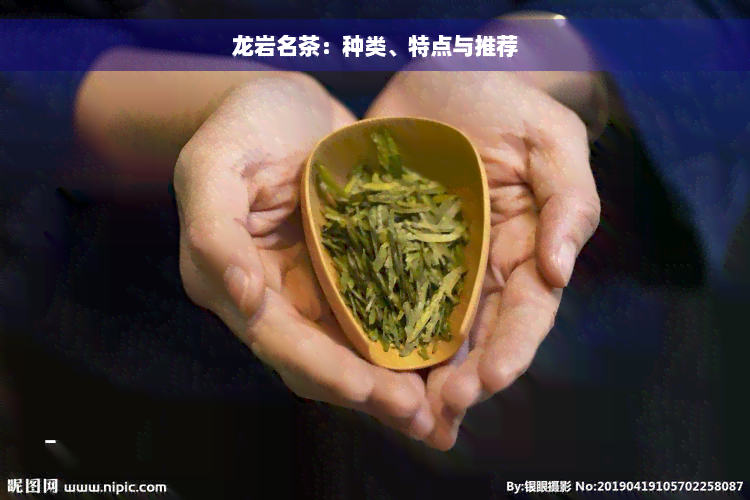 龙岩名茶：种类、特点与推荐