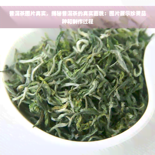 普洱茶图片真实，揭秘普洱茶的真实面貌：图片展示珍贵品种和制作过程