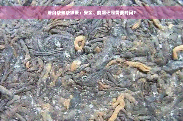 普洱茶煮茶铁壶：安全、能喝还是需要时间？