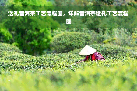 送礼普洱茶工艺流程图，详解普洱茶送礼工艺流程图