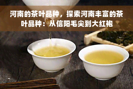 河南的茶叶品种，探索河南丰富的茶叶品种：从信阳毛尖到大红袍