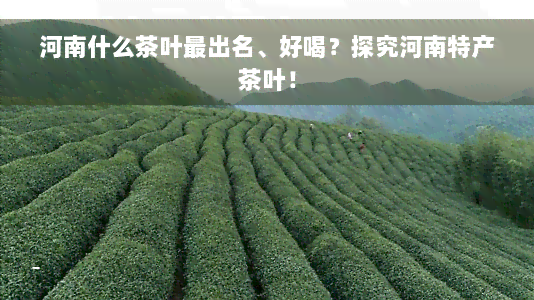 河南什么茶叶最出名、好喝？探究河南特产茶叶！