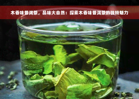 木香味普洱茶，品味大自然：探索木香味普洱茶的独特魅力