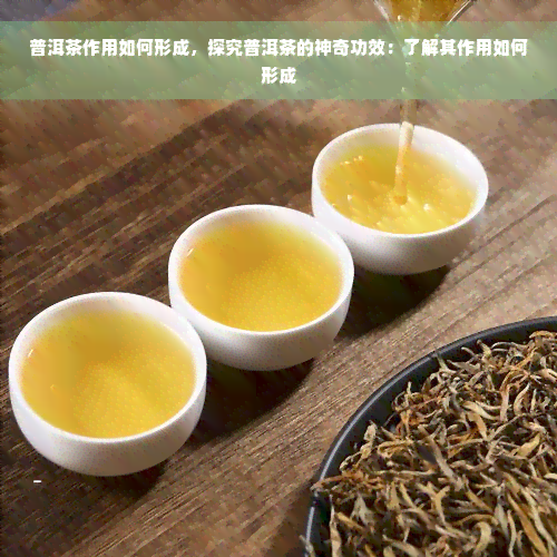 普洱茶作用如何形成，探究普洱茶的神奇功效：了解其作用如何形成