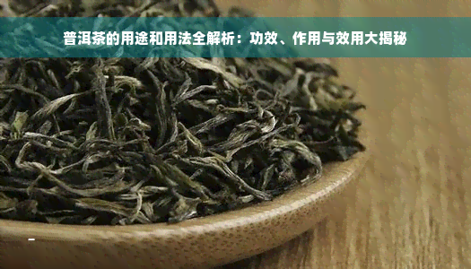 普洱茶的用途和用法全解析：功效、作用与效用大揭秘