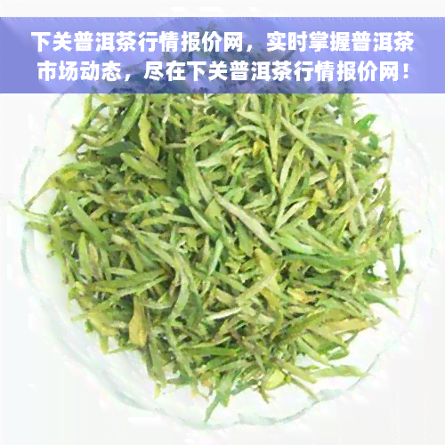 下关普洱茶行情报价网，实时掌握普洱茶市场动态，尽在下关普洱茶行情报价网！