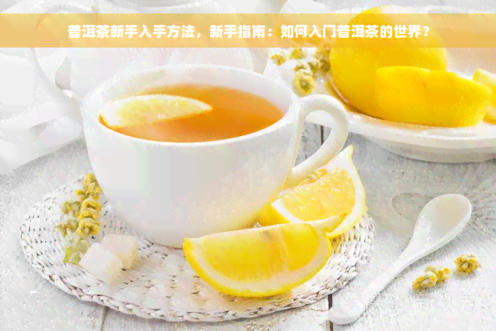 普洱茶新手入手方法，新手指南：如何入门普洱茶的世界？