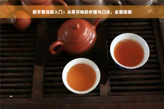 新手普洱茶入门：从零开始的步骤与口诀，全面指南