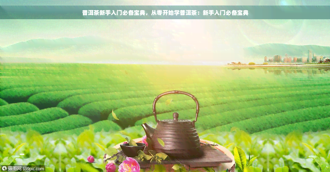 普洱茶新手入门必备宝典，从零开始学普洱茶：新手入门必备宝典