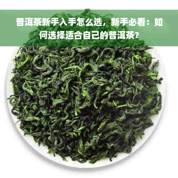 普洱茶新手入手怎么选，新手必看：如何选择适合自己的普洱茶？