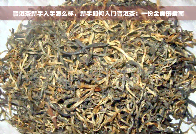 普洱茶新手入手怎么样，新手如何入门普洱茶：一份全面的指南