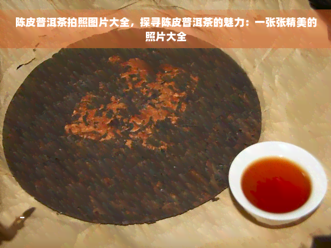 陈皮普洱茶拍照图片大全，探寻陈皮普洱茶的魅力：一张张精美的照片大全