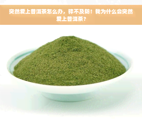 突然爱上普洱茶怎么办，猝不及防！我为什么会突然爱上普洱茶？