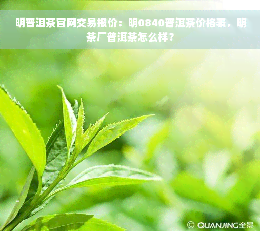 明普洱茶官网交易报价：明0840普洱茶价格表，明茶厂普洱茶怎么样？