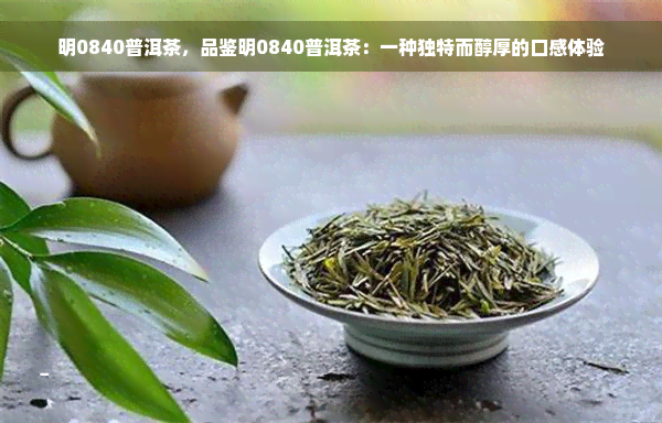 明0840普洱茶，品鉴明0840普洱茶：一种独特而醇厚的口感体验