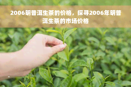 2006明普洱生茶的价格，探寻2006年明普洱生茶的市场价格