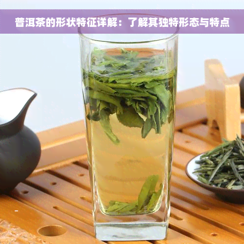 普洱茶的形状特征详解：了解其独特形态与特点