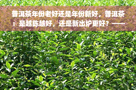 普洱茶年份老好还是年份新好，普洱茶：是越陈越好，还是新出炉更好？——关于普洱茶年份的老与新的探讨