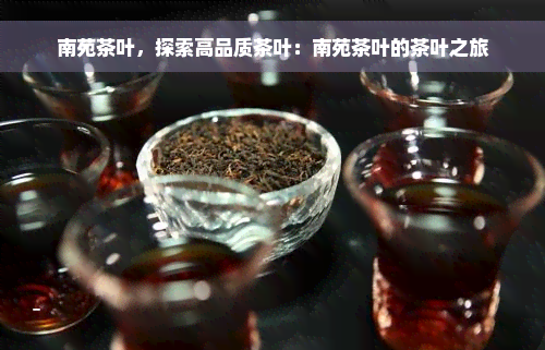 南苑茶叶，探索高品质茶叶：南苑茶叶的茶叶之旅