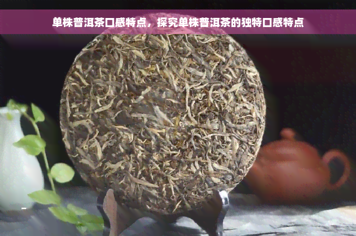 单株普洱茶口感特点，探究单株普洱茶的独特口感特点