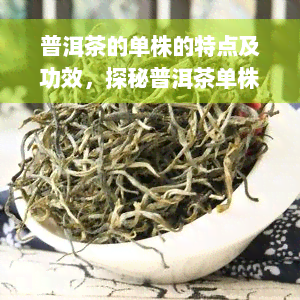 普洱茶的单株的特点及功效，探秘普洱茶单株：特点与神奇功效