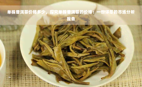 单株普洱茶价格多少，探究单株普洱茶的价格：一份详尽的市场分析报告