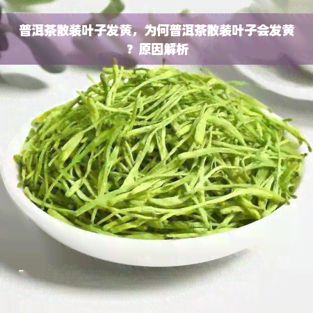 普洱茶散装叶子发黄，为何普洱茶散装叶子会发黄？原因解析