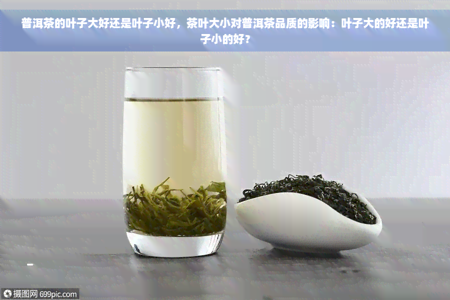 普洱茶的叶子大好还是叶子小好，茶叶大小对普洱茶品质的影响：叶子大的好还是叶子小的好？